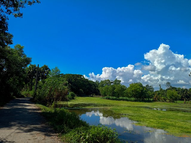 IMG20240909142026.jpg