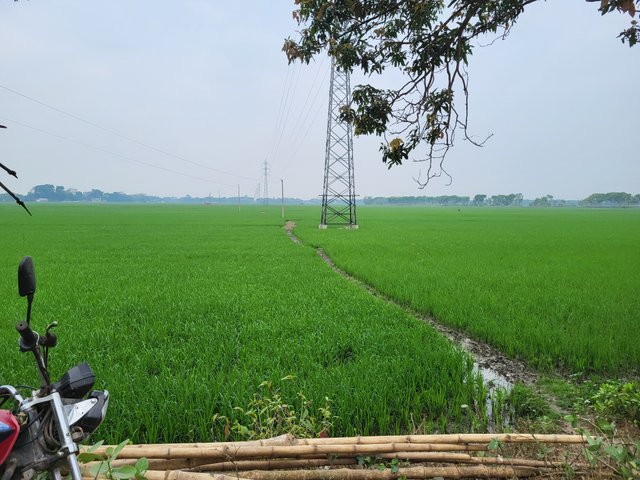 20250326_105455.jpg
