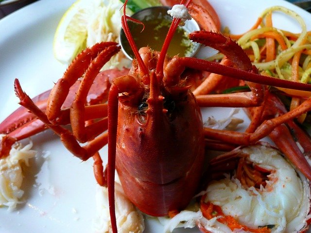 lobster-54994_640.jpg