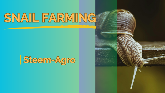 Steem-Agro.png