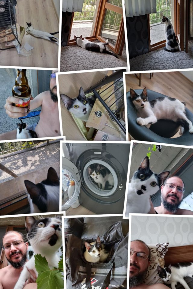 Messenger_creation_90463FE6-FCE8-4C08-A46D-0DFCE5162373.jpeg