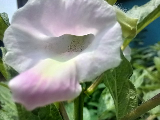 20250801_115150.jpg