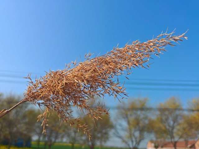 IMG_20250401_155818.jpg