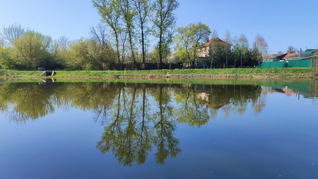 IMG_20250422_093628.jpg