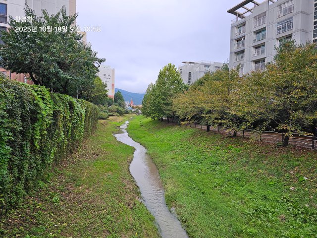 1000168217.jpg