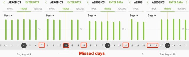 Fitness Challenge - August Report - Aerobic