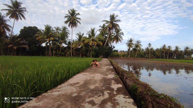 IMG_20250108_074647.jpg