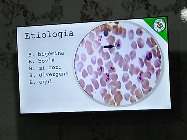 20250716_102157.jpg