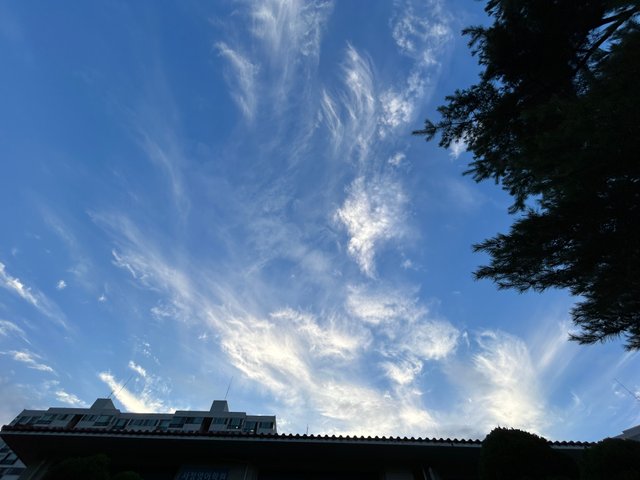 IMG_9645.jpeg