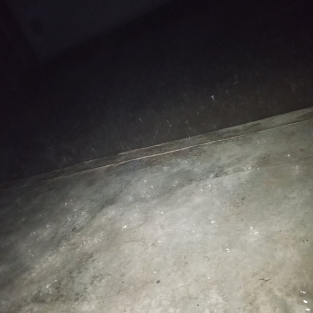 1000091622.jpg