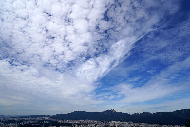 b-DSC02700.JPG