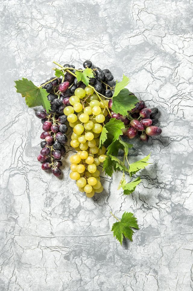 grape-vine-with-green-leaves-concrete-stone-texture-autumn-background_154730-3525.jpg