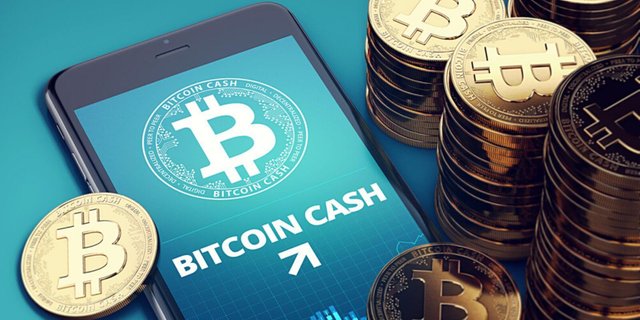 bitcoin-cash- 1.jpg