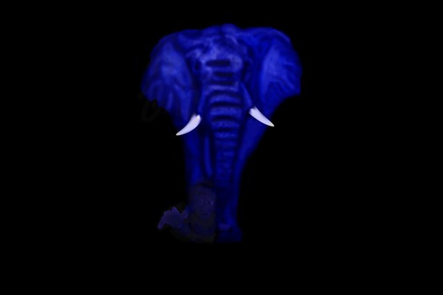 elephant-b.jpg