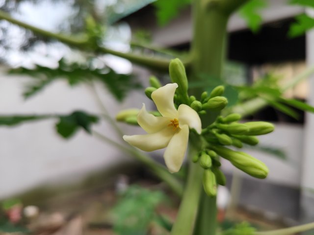 IMG_20250623_171605.jpg