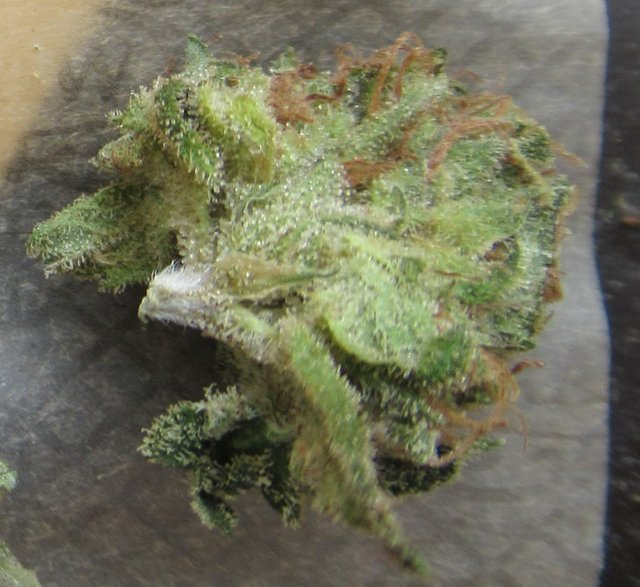 microsplitnugtop.jpg
