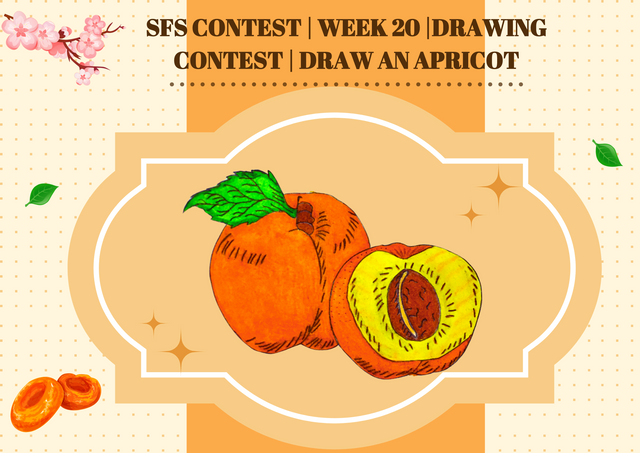 SFS Contest  Week 20 Drawing Contest  Draw An Apricote by @zisha-hafiz.png