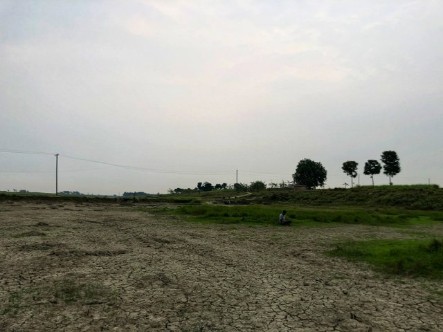 IMG_1970-01.jpeg