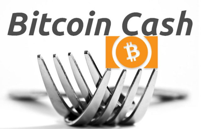 fork-bch.jpg