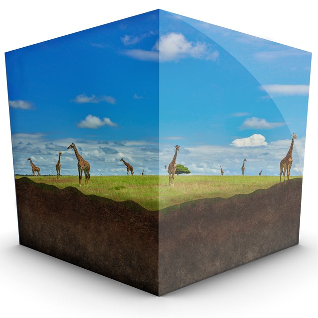 Giraffes-in-A-cube.jpg