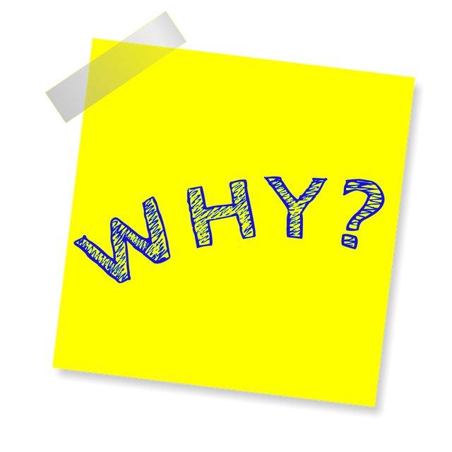 why-g66499dcdb_1920.png