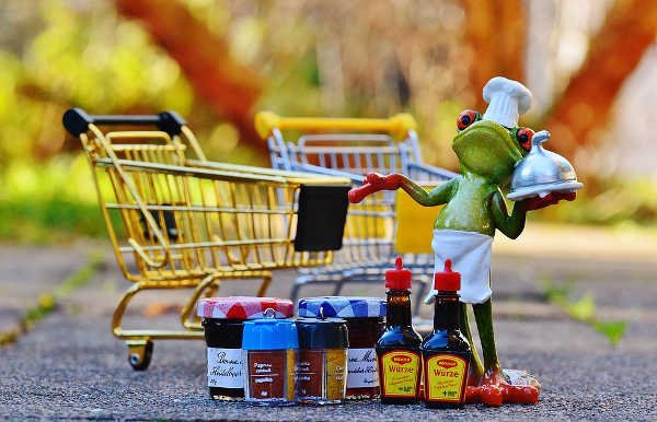 shopping-cart-frog.jpg