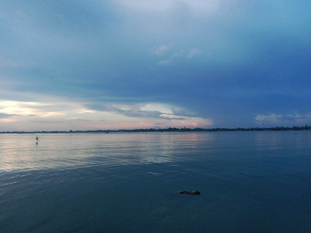 IMG_20250920_082930.jpg