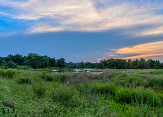 Greens silver sands.jpg