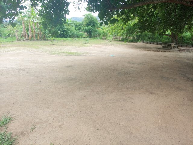 1000054930.jpg