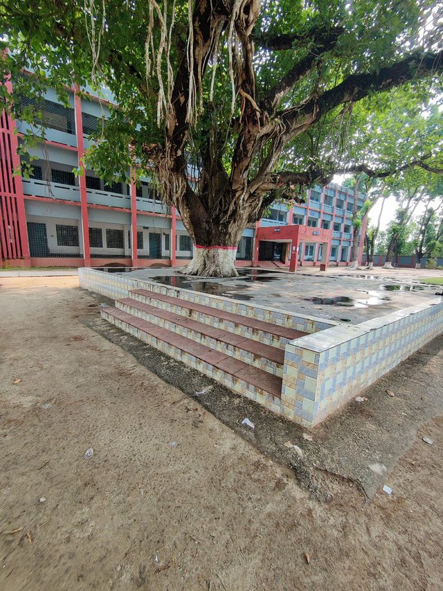 1000035487.jpg