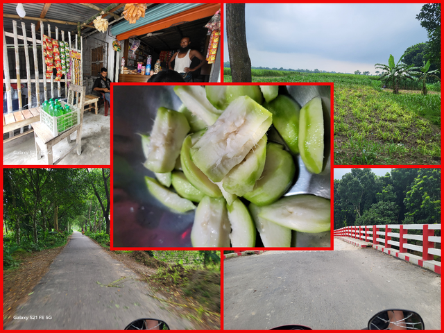 photo-collage.png(5).png