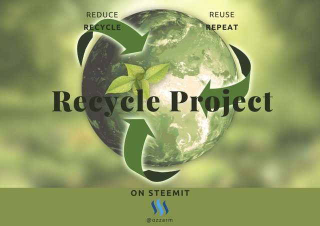 Recycle Project 2.jpg