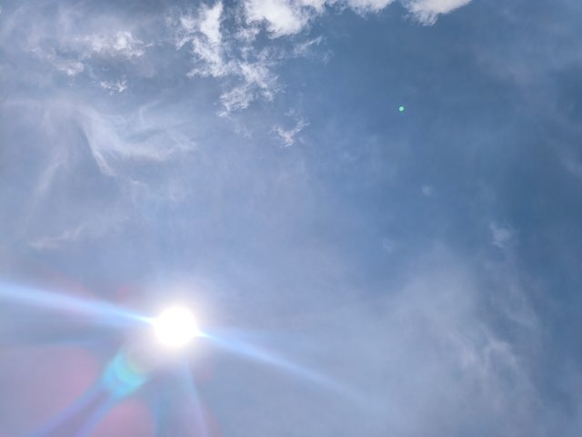 1000600621.jpg