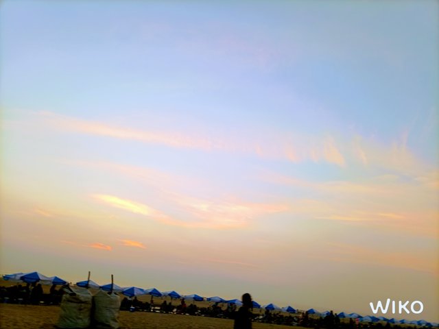 IMG_20250115_173627623.jpg