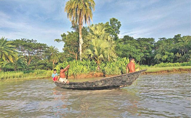 through_the_submerged_world_of_barisal_1_0.jpg