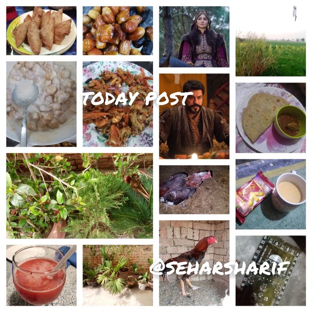 InCollage_20250327_164233309.jpg