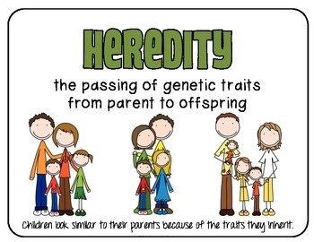 Heredity-2.jpg