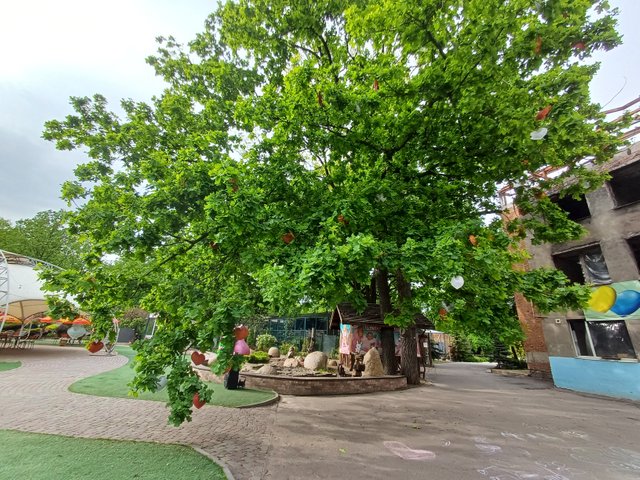 20250517_170412.jpg