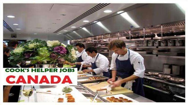 Jobs kitchen helper or cook in Calgary Canada.JPG