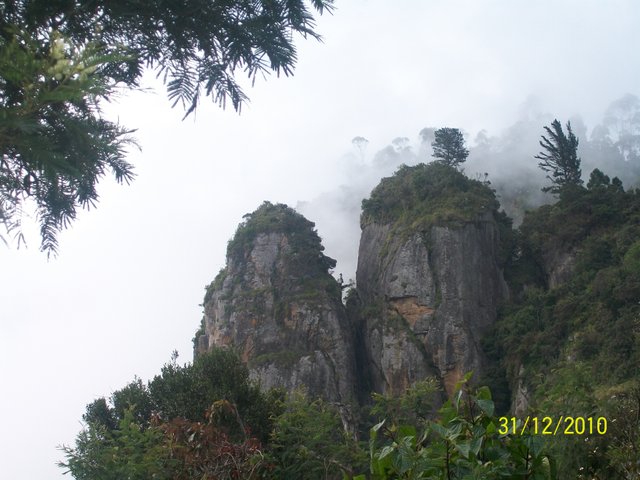 Kodai kanal (9).JPG