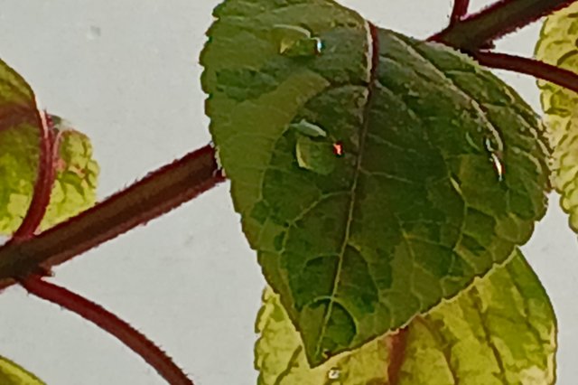 20250805_165729.jpg