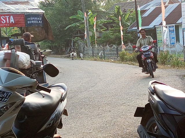 IMG_20250327_180703_936.jpg