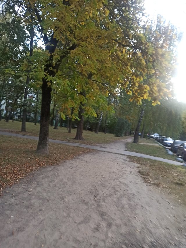 IMG_20250923_174942_1.jpg