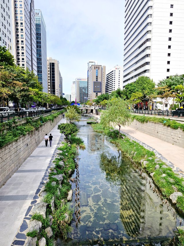 20250922_094039.jpg