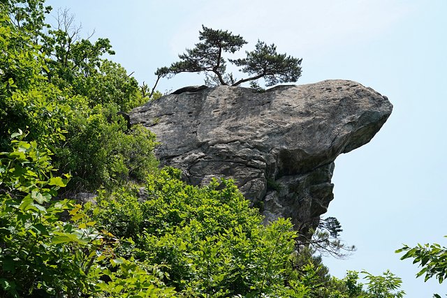 b-DSC04074.JPG