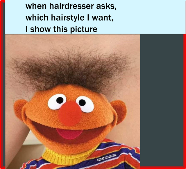 149-hairDresser.png