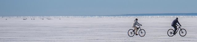 DSC09961.jpg