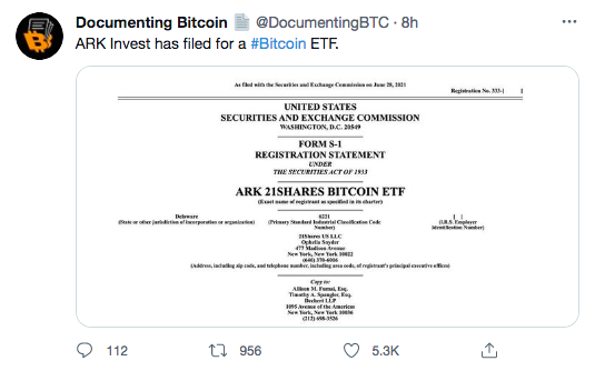 Screenshot_2021-06-29 Documenting Bitcoin 📄 ( DocumentingBTC) Twitter(1).png