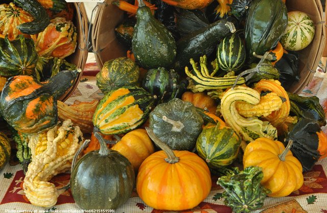 GourdsAndSquashes-001-110418.jpg