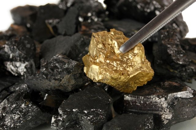 Gold and Coal.jpg